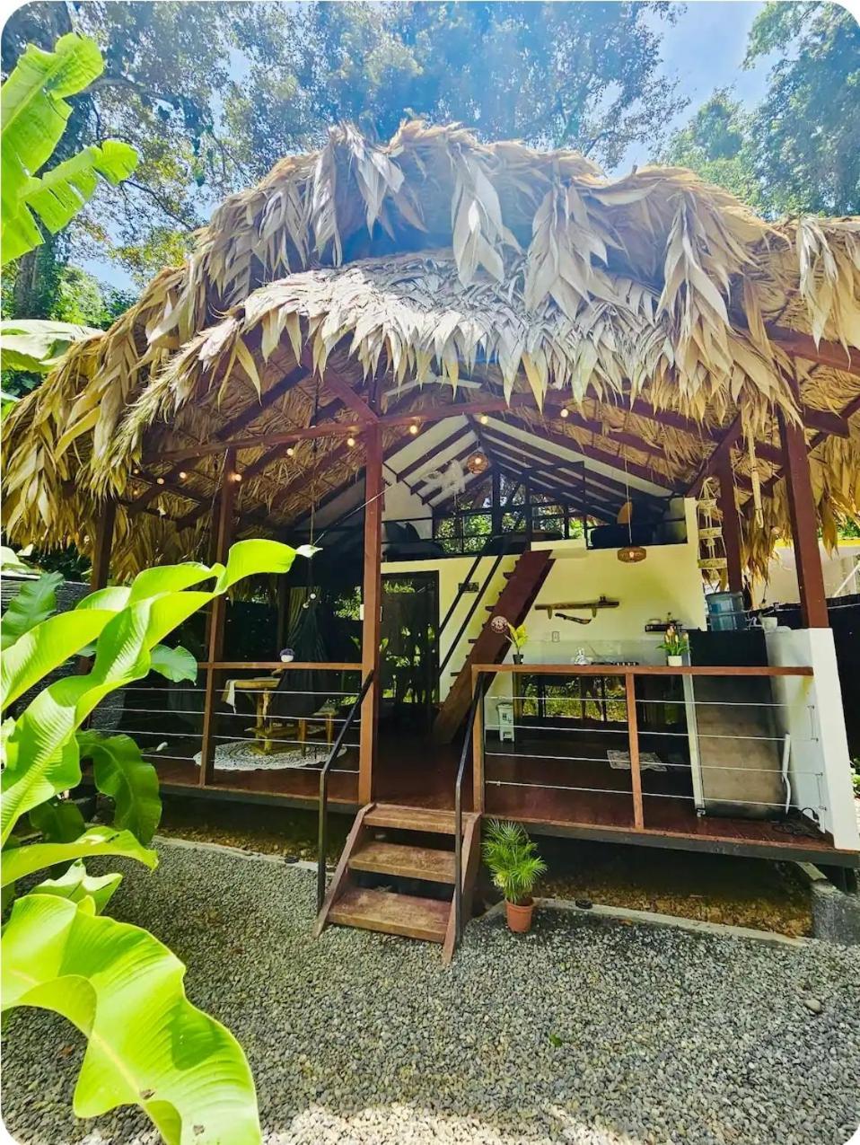 Evolution House Jungle Oasis Vila Hone Creek Exterior foto