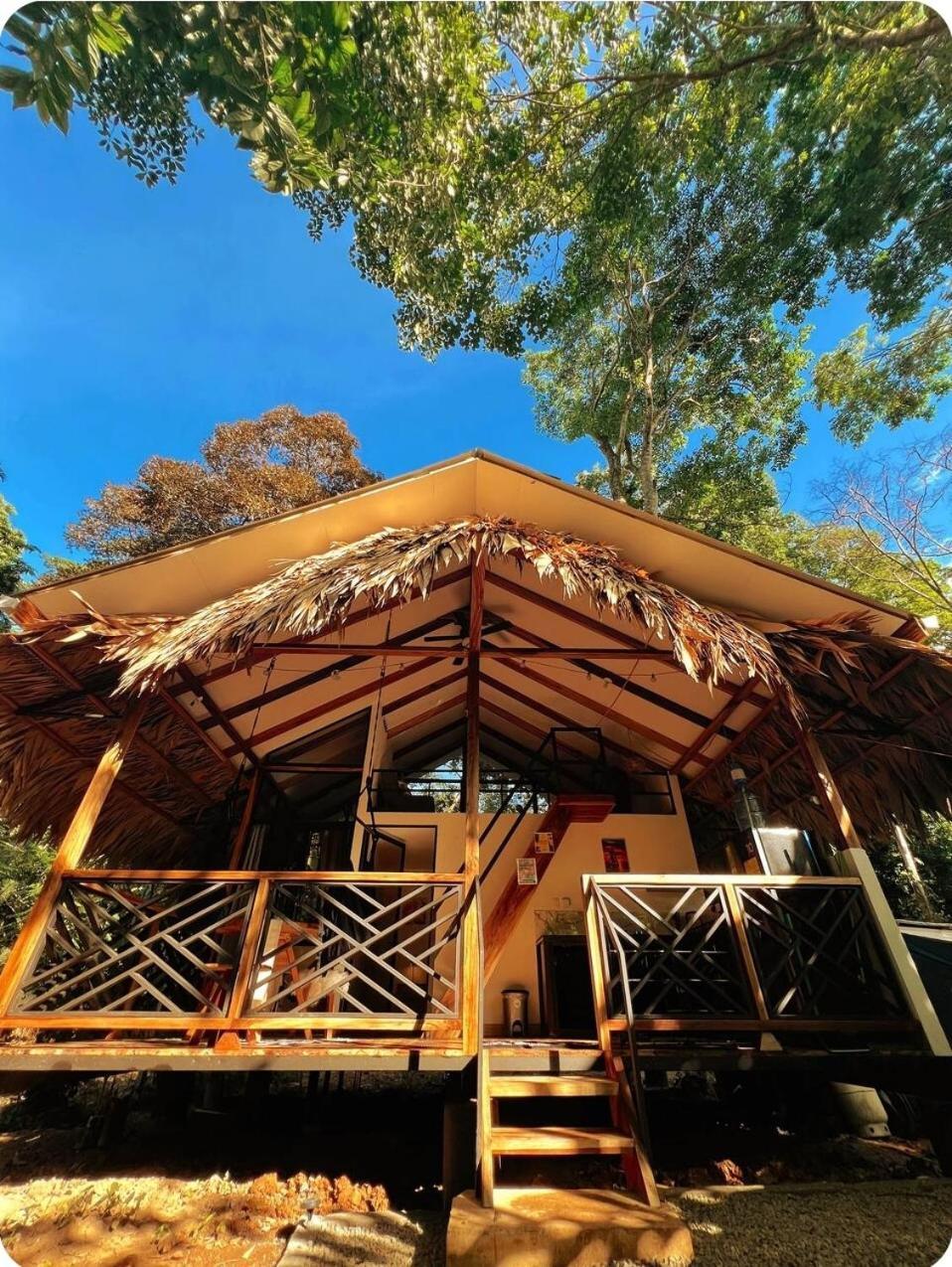 Evolution House Jungle Oasis Vila Hone Creek Exterior foto